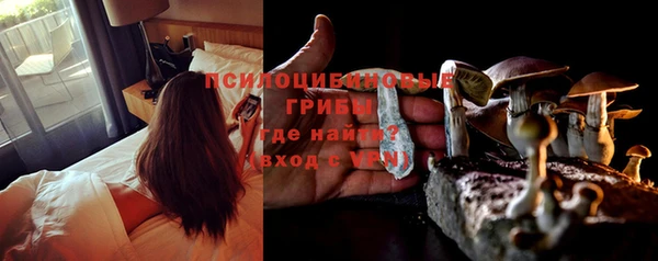 ГАЛЛЮЦИНОГЕННЫЕ ГРИБЫ Алексеевка