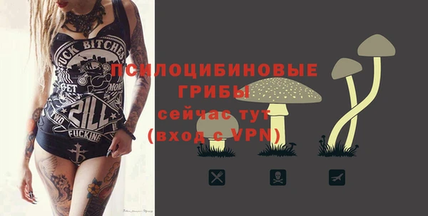 эйфоретик Абаза