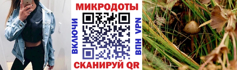 Псилоцибиновые грибы GOLDEN TEACHER  Костерёво 